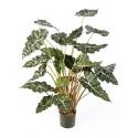 Kunstplant Alocasia polly L