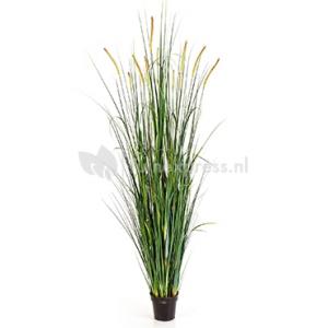 Kunstplant Foxtail wild grass XXL