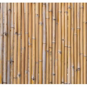 Bamboerolscherm naturel 180 x 180 cm x 18-20 mm