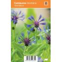 Korenbloem (centaurea montana "Grandiflora") zomerbloeier