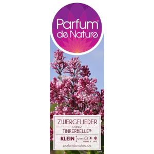 Dwergsering op stam (syringa "Tinkerbelle"®)