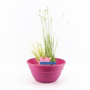 Mini vijver kunststof roze