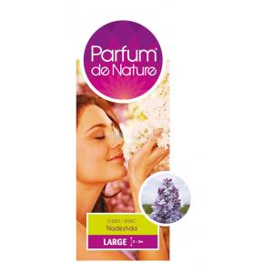Sering (syringa vulgaris "Nadezhda"Parfum de Nature)