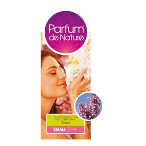 Dwergsering (syringa "Josee" Parfum de Nature)