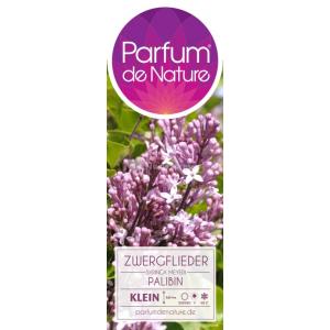 Dwergsering op stam (syringa meyeri "Palibin")