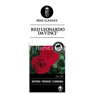 Trosroos (rosa "Red Leonardo da Vinci"®)