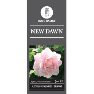 Klimroos (rosa "New Dawn")
