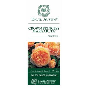 Engelse klimroos (rosa "Crown Princess Margareta"®)