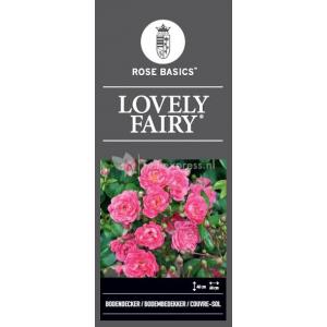 Trosroos op stam (rosa "Lovely Fairy"®)