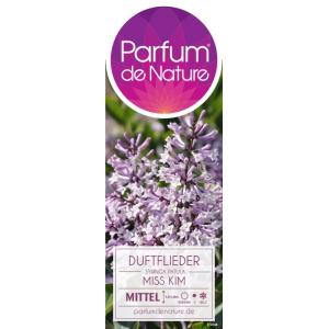 Dwergsering (syringa patula "Miss Kim")