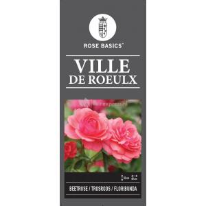 Trosroos (rosa "Ville de Roeulx")