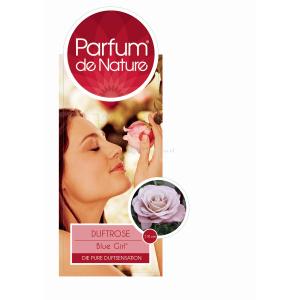 Grootbloemige roos Parfum de Nature (rosa  "Blue Girl"®)