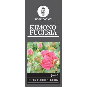 Trosroos op stam (rosa "Kimono Fuchsia")