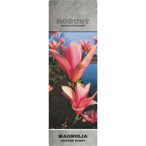 Magnolia struik Heaven Scent