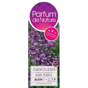 Dwergsering (syringa Bloomerang®"Dark Purple")