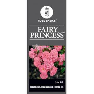 Trosroos op stam (rosa "Fairy Princess"®)