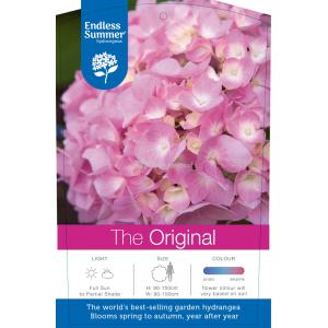 Hydrangea Macrophylla "Endless Summer Pink"® boerenhortensia