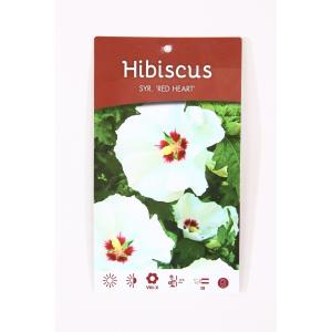 Hibiscus syriacus Red Heart