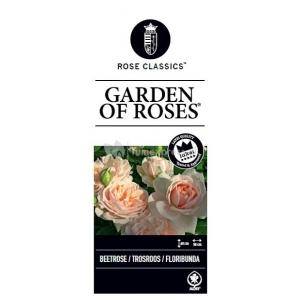 Trosroos (rosa "Garden of Roses"®)