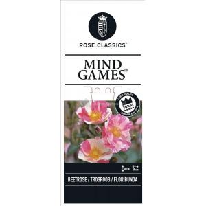 Trosroos (rosa "Mind Games"®)