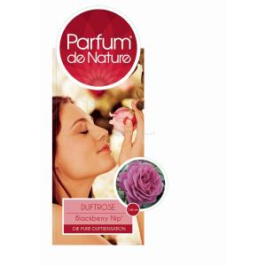 Grootbloemige roos Parfum de Nature (rosa "Blackberry Nip"® Parfum de Nature)