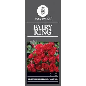 Trosroos op stam (rosa "Fairy King"®)