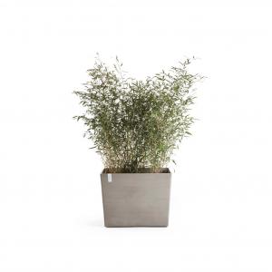 Ecopots Paris op wielen kunststof bloempot Taupe - Ø 81,6 cm