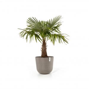 Ecopots Oslo met waterreservoir kunststof bloempot Taupe - Ø 52,5 cm