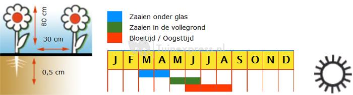 Gewone of Stinse akelei bloemzaden - Granny's Bonnets mix