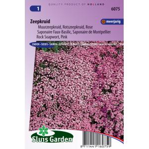 Muurzeepkruid bloemzaden – Zeepkruid