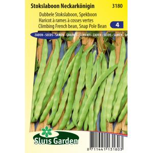 Stokslaboon (spekboon) zaden - Neckarkönigin