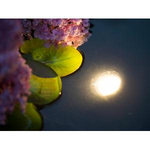 AquaLight onderwaterverlichting 60 LED